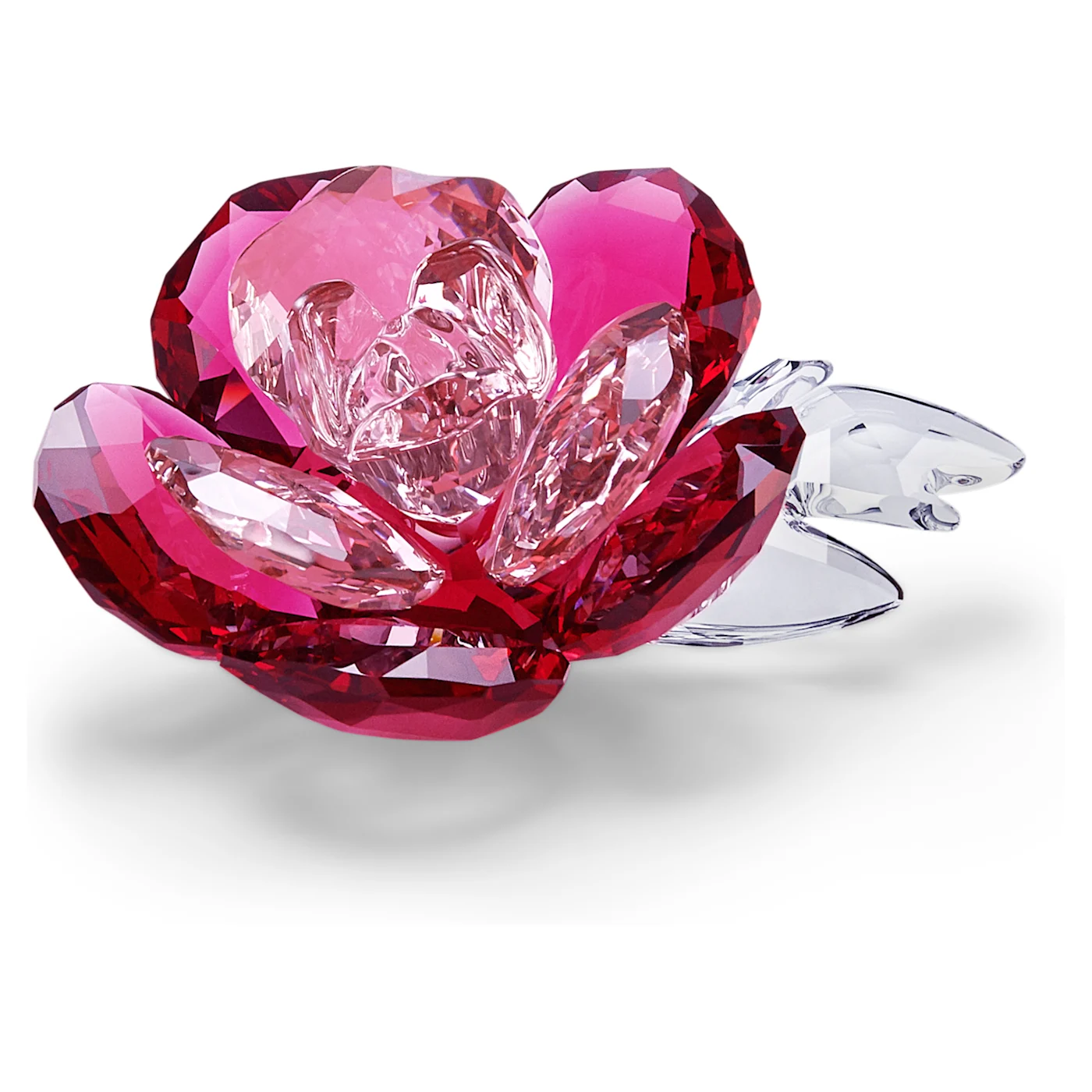 SWAROVSKI – CRYSTAL – Peonia