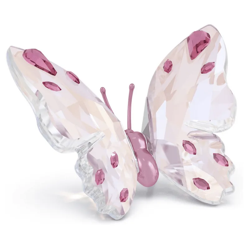 SWAROVSKI – CRYSTAL – Idyllia Farfalla Piccola