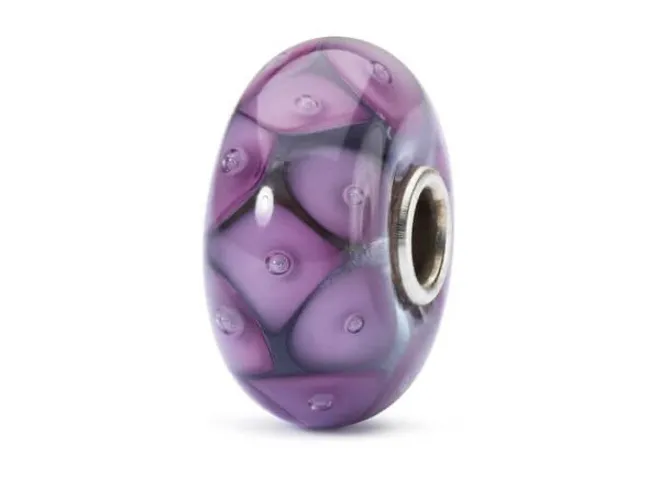 Petali dell Amicizia